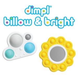 FAT BRAIN TOY DIMPL.jpg