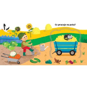 aksjomat pojazdy.webp1.jpg