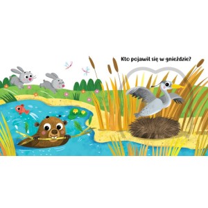 aksjomat w lesie.webp1.jpg