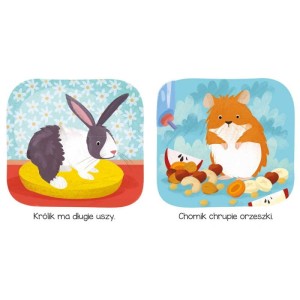 aksjomat w domu.webp1.jpg