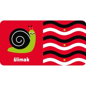 aksjomat ozek.webp 1.jpg