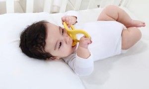107-Mombella-Gryzak-Zabawka-Kaczka-Yellow .jpg