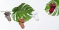 20190627-SLA_5238-Edit-Edit.jpg