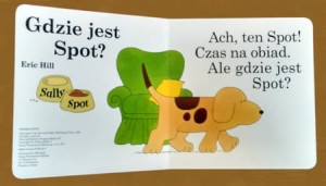 gdzie jest spot 1.jpg