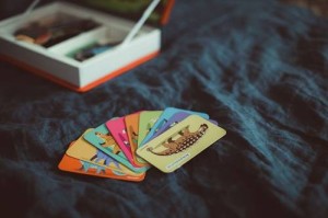 janod manetibook dino.jpg 7.jpg