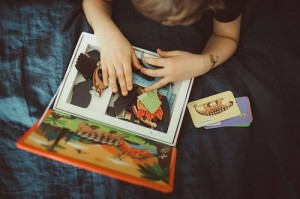 janod manetibook dino.jpg 8.jpg