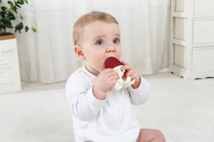 mombella osmiornica red.jpg 2.jpg