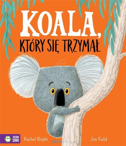 KOALA KTORY SIE TRZYMAL.jpg
