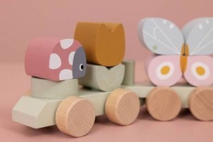 little dutch pociag roz.png 3.jpg