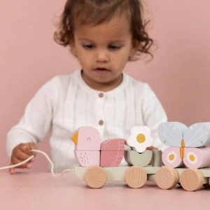 little dutch pociag roz.png 6.jpg